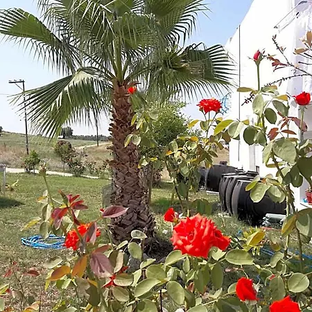 Hotel Villagiannis Kallithea (Chalkidiki)